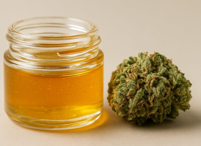 A jar of cannabis extract next to a bud of cannabis flower on a neutral background.